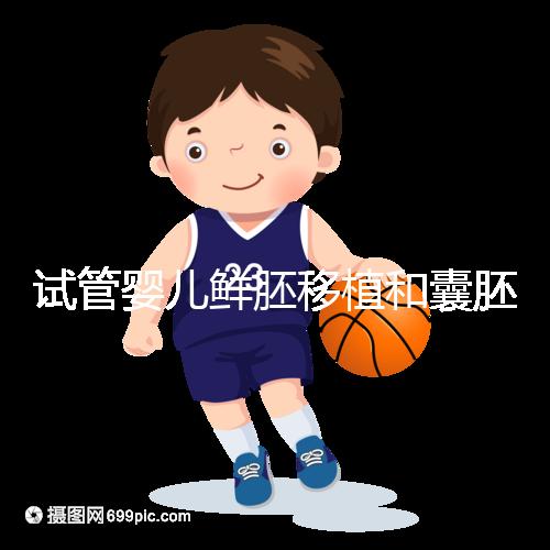 試管嬰兒鮮胚移植和囊胚移植的區別！哪個成功率高看完便知曉