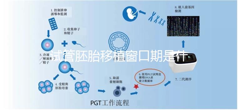 試管胚胎移植窗口期是什么？如何選對時機？