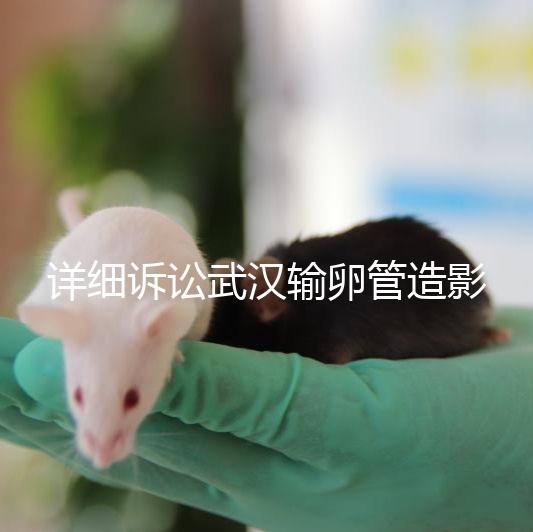 詳細(xì)訴訟武漢輸卵管造影檢查多少錢，能否報(bào)銷，不要錯(cuò)過