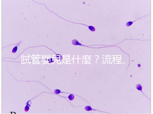 試管嬰兒是什麼？流程、費用、補助及人工受孕差異全解析！