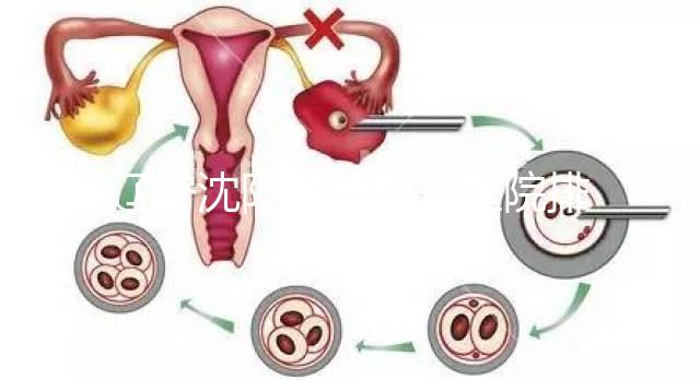 遼寧沈陽試管嬰兒醫(yī)院排名匯總新鮮出爐：這14家值得一看！