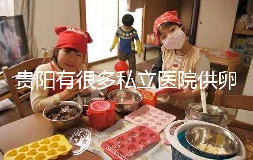 貴陽有很多私立醫院供卵生子,附2024年新版助孕排名