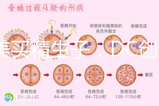 赴美買精生子：DC創(chuàng)始人葉海洋怒砸50萬生下五國混血兒