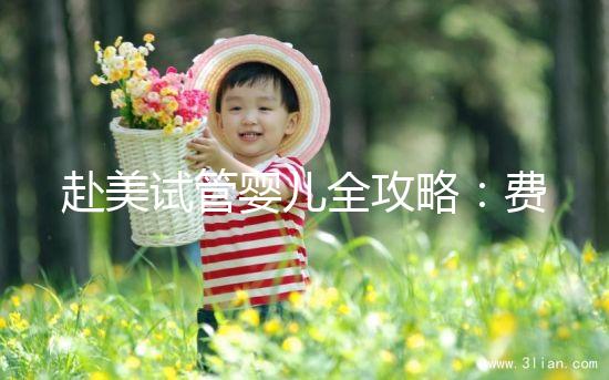 赴美試管嬰兒全攻略：費用、流程、成功率一次看懂