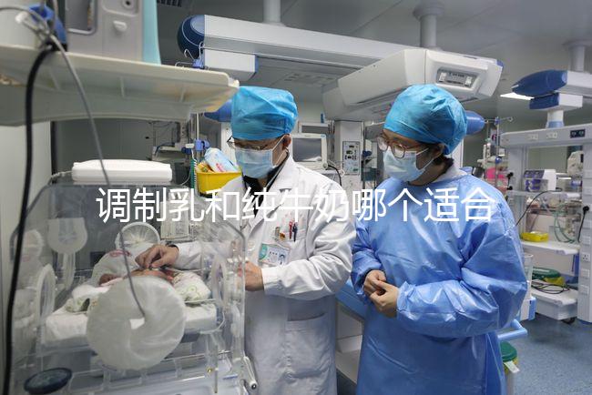 調制乳和純牛奶哪個適合7歲孩子答案在這，二者區別了解下