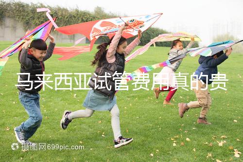 馬來西亞試管費(fèi)用真的貴么？同善醫(yī)院價格說明