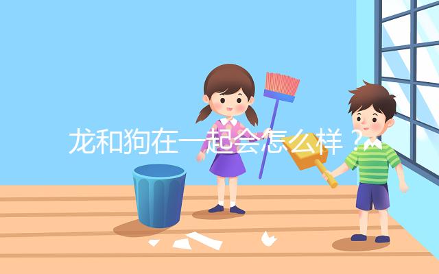 龍和狗在一起會怎么樣？相沖可以這樣解決