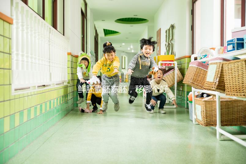 鮮胚囊胚凍胚,移哪個(gè)好?關(guān)于試管嬰兒的那些事兒