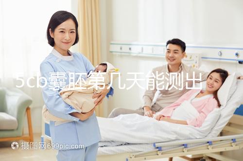 5cb囊胚第幾天能測(cè)出看移植成功后續(xù)發(fā)育怎么樣,不懂戳