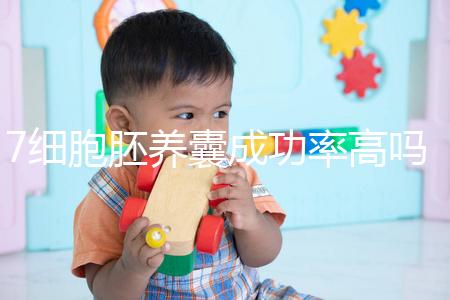 7細胞胚養囊成功率高嗎？聽聽做過試管的姐妹怎么說