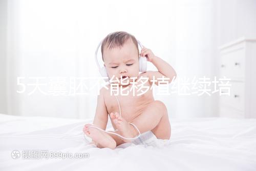 5天囊胚不能移植繼續培養？美國試管專家為您解析！