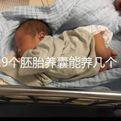 19個胚胎養(yǎng)囊能養(yǎng)幾個真難說，質量好都成功了也屬正常