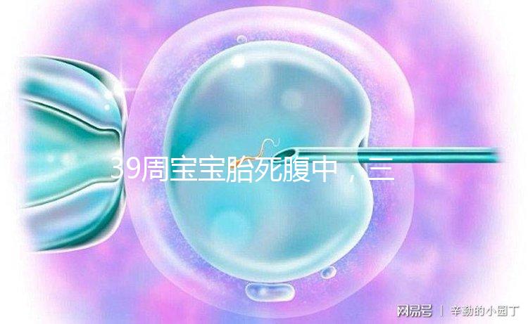 39周寶寶胎死腹中,三代試管嬰兒也拯救不了的胎停流產