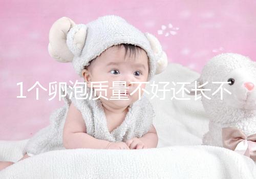 1個卵泡質量不好還長不大，如何提高試管嬰兒懷孕成功率？