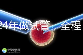 2024年做試管，全程下來要多少錢？