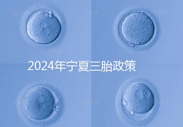 2024年寧夏三胎政策最新規(guī)定來襲,附西夏區(qū)實(shí)施時(shí)間