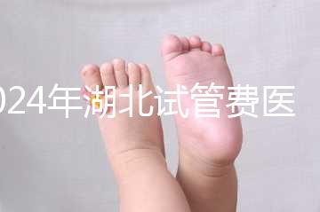 2024年湖北試管費醫療保險可以報銷？專家：時間還沒到？