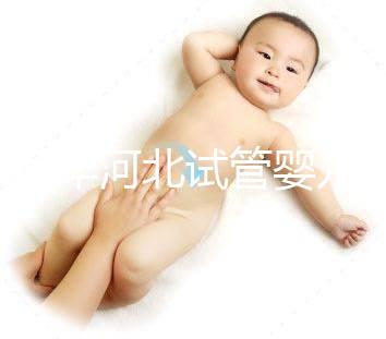 2024年河北試管嬰兒費用可以報銷嗎？補貼金額真的那么大？