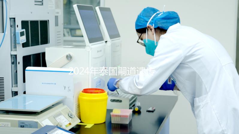 2024年泰國嗣道遺傳醫(yī)院試管嬰兒費(fèi)用明細(xì)