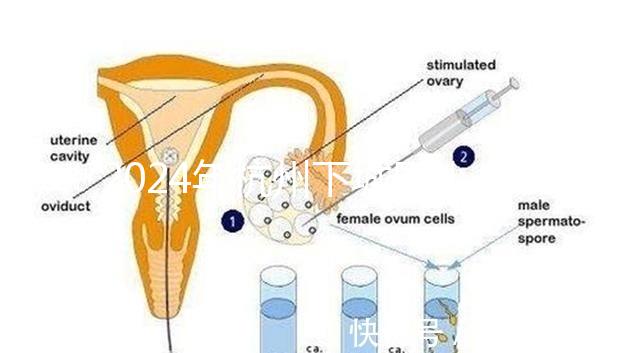 2024年杭州下城區小學生入學條件清單，資料不準備真的上不去