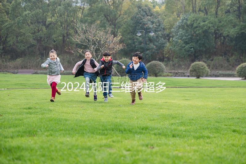 2024沈陽三維彩超多少錢？排名前三的醫(yī)院準(zhǔn)確率不低