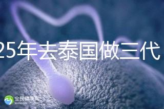 2025年去泰國(guó)做三代試管助孕費(fèi)用大曝光?具體要花費(fèi)多少錢