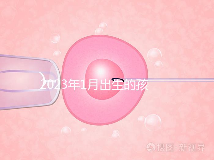 2023年1月出生的孩子取名宜忌要早知，星座、屬相均有講究