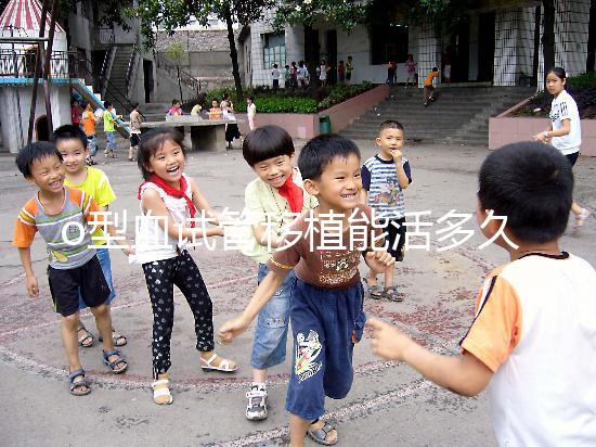 o型血試管移植能活多久？壽命長的關鍵在于這些點